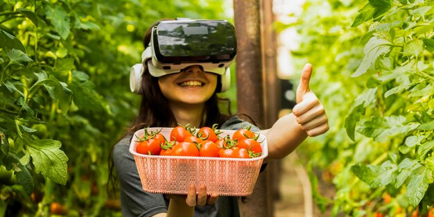 Junge schöne Dame mit Tomatenkorb und VR-Brille im Gewächshaus Geste der jungen Dame mit dem Daumen nach oben