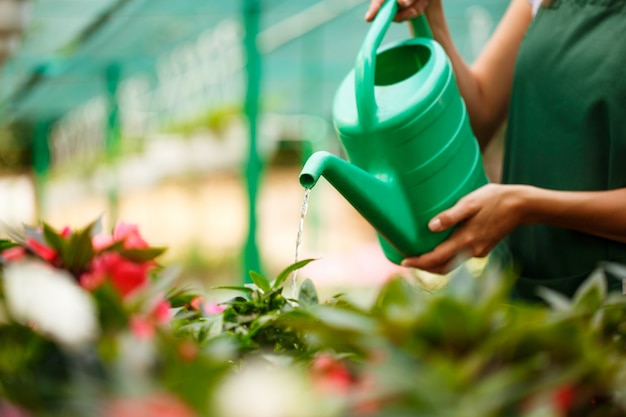 Junge schöne Floristen, die Blumen gießen.