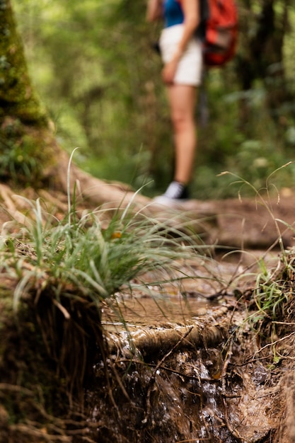 Junge schöne Frau, die in die Berge reist