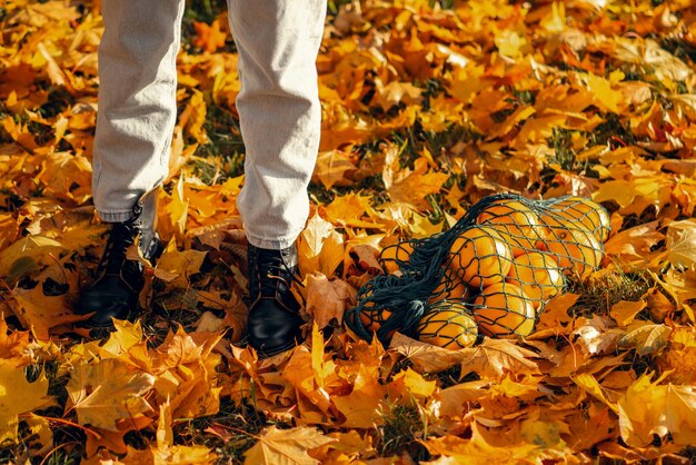 Junge schöne Frau mit Hut in einem Herbstpark, eine Schnurtasche mit Orangen, eine Frau wirft Herbstblätter hoch. Herbststimmung, leuchtende Farben der Natur.