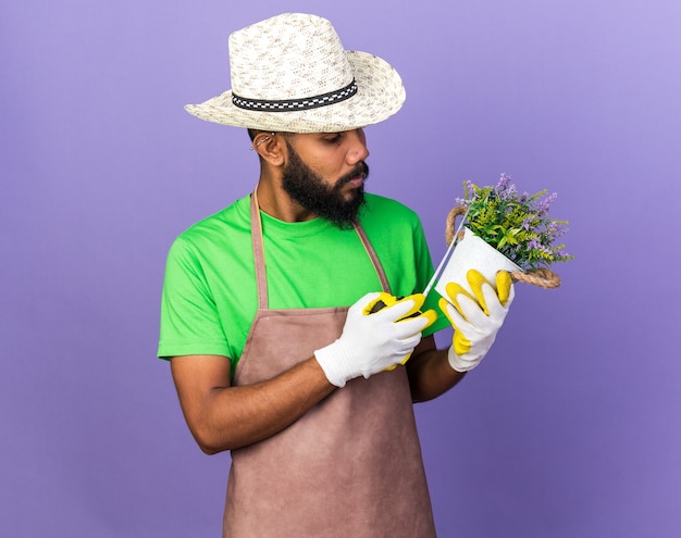 Junger afroamerikanischer Gärtner mit Gartenhut, der Blume im Blumentopf mit Maßband isoliert auf blauer Wand misst