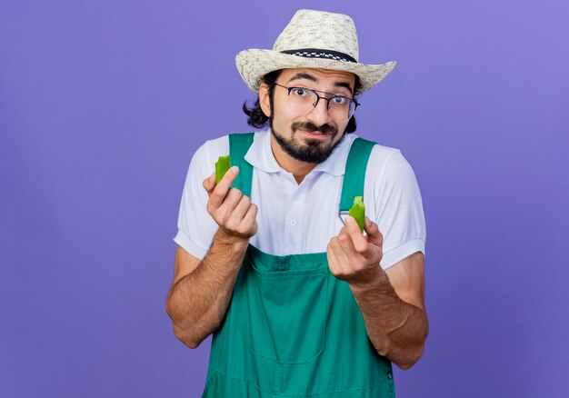 Junger bärtiger Gärtnermann, der Overall und Hut trägt, der Hälften des grünen heißen Chilipfeffers hält, der vorne lächelnd steht über blaue Wand