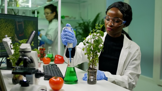 Junger botaniker, der genetische lösung aus dem reagenzglas mit mikropipette nimmt, die bäumchen aufsetzt, die gvo von botanikpflanzen analysieren
