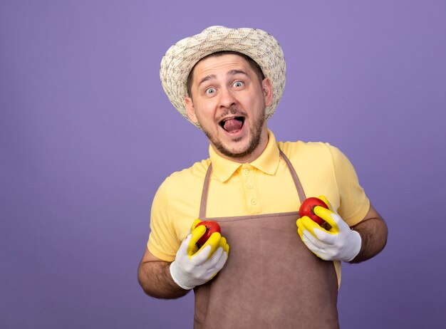 Junger Gärtner, der Overall und Hut in Arbeitshandschuhen trägt, die frische Tomaten über seiner Brust glücklich und fröhlich lächelnd halten über lila Wand halten