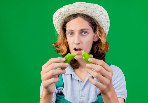 Kostenloses Foto junger gärtnermann, der overall und hut hält hälften des grünen chilipfeffers hält