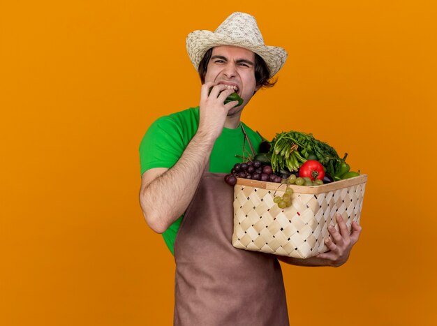 Junger Gärtnermann in der Schürze und im Hut, die Kiste voller Gemüse beißen Gurke über orange Hintergrund hält