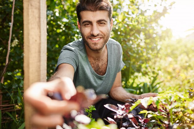 Junger gutaussehender bärtiger Gärtner, der Tag im Landgemüsegarten im Sommermorgen verbringt. Attraktiver hispanischer Mann lächelnd, Pflanze in der Hand haltend.