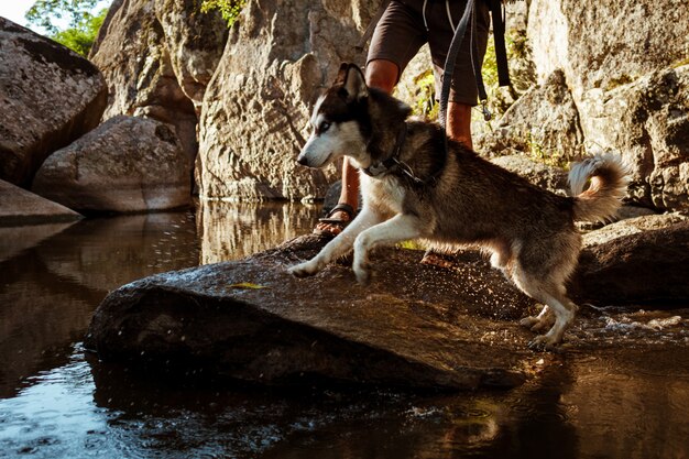 Junger gutaussehender Mann, der mit Huskys Hund in der Schlucht nahe Wasser geht