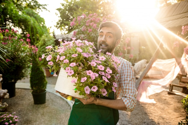 Junger hübscher Gärtner, der lächelt und großen Topf mit Blumen hält