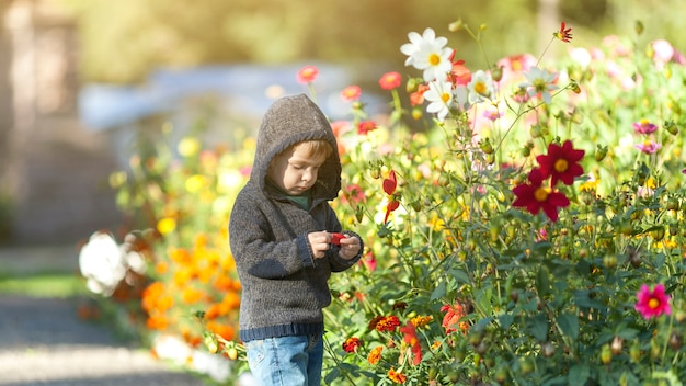 Junger Junge mit dem Hoodie, der eine Blume anhält