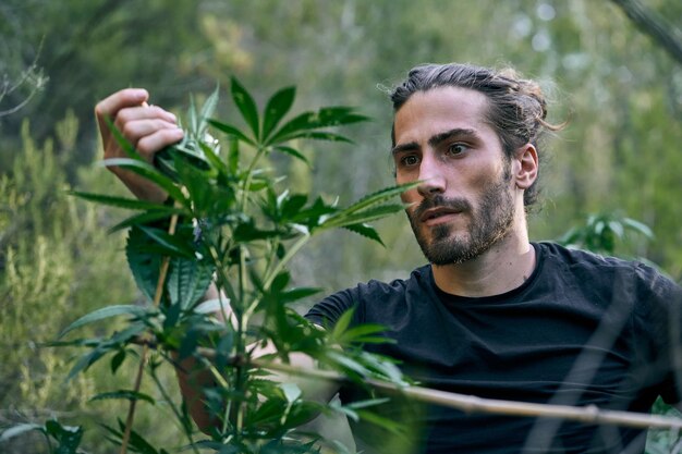 Junger kaukasischer Mann, der sich um die großen Cannabispflanzen im Garten kümmert