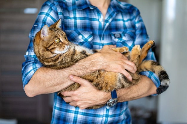 Junger Mann, der eine süße bengalische Tigerkatze in seinen Händen hält