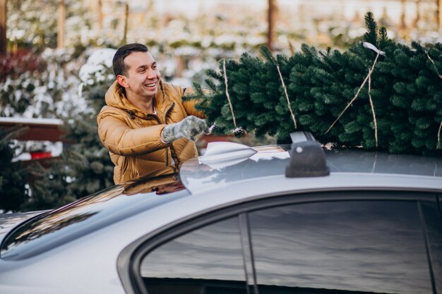 Junger Mann, der Weihnachtsbaum auf Auto liefert