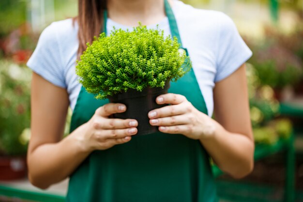 Junger schöner Florist, der unter Blumen aufwirft.