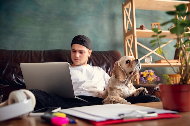 Junger schöner Mann, der auf braunem Sofa sitzt und mit seinem niedlichen Hund arbeitet