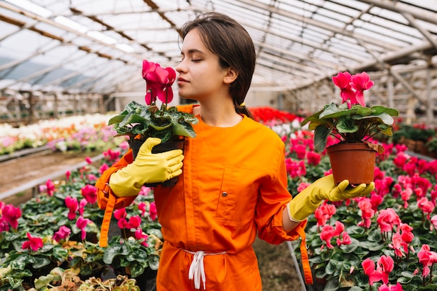 Junger weiblicher Gärtner, der rosa Blumen im Gewächshaus riecht