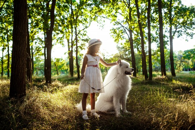 Junges Mädchen, das mit Hund im Park bei Sonnenuntergang spielt.