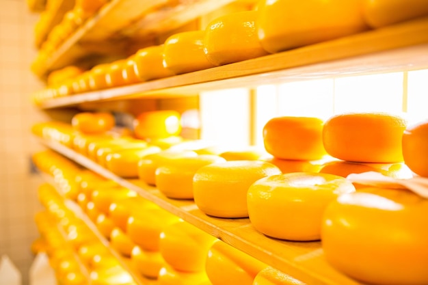 Käse holländische milchprodukte in den niederlanden.