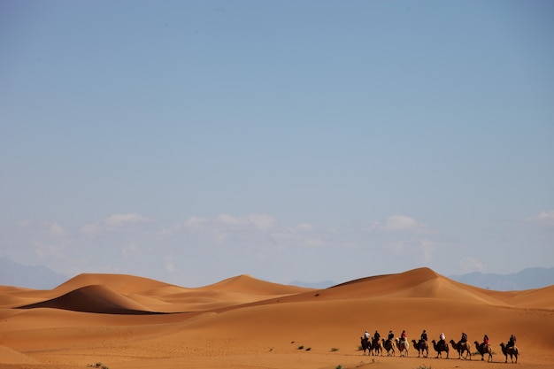 Kamelkarawane in einer Wüste in Xinjiang, China