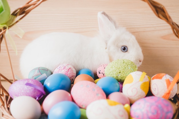 Kaninchen hinter Korb mit Eiern