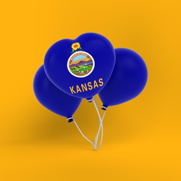 Kostenloses Foto kansas-ballons