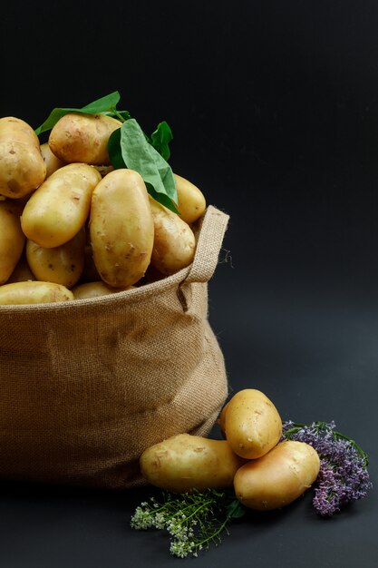 Kartoffeln in einem gemusterten Sack mit lila Blüten und Seitenansicht der Blätter