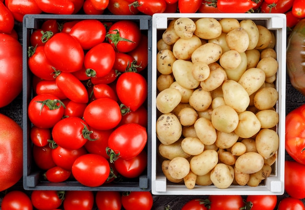 Kartoffeln und tomaten in holzkisten an der tomatenwand, flach liegen.