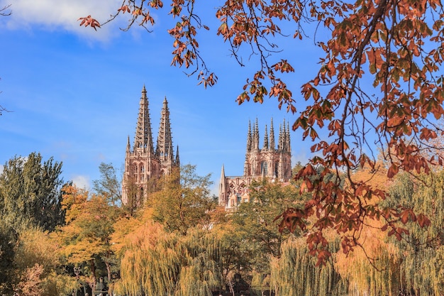 Kostenloses Foto kathedrale von burgos, umgeben von bäumen in der stadt spanien