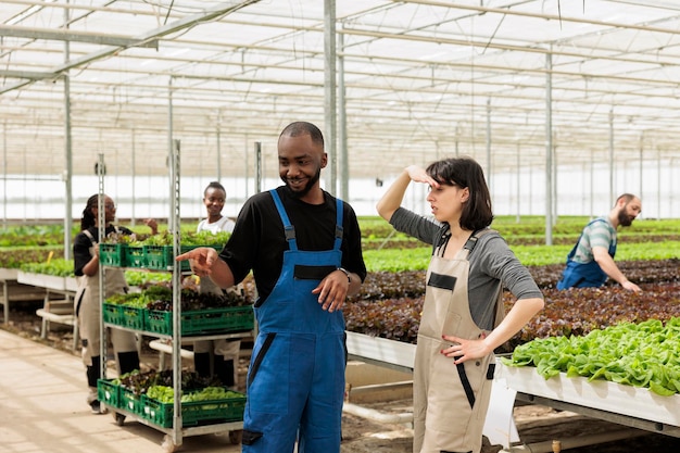 Kaukasische Gewächshausarbeiterin beschattet die Augen mit der Hand, während sie mit einem afroamerikanischen Mann spricht, der auf eine Bio-Salatfarm zeigt. Verschiedene Menschen machen eine Pause vom Anbau von Bio-Gemüse.