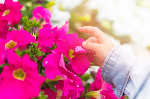 Kind, das rosa Blumenblumenblätter berührt