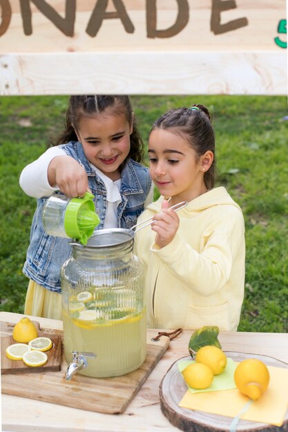 Kinder, die Limonadenstand haben