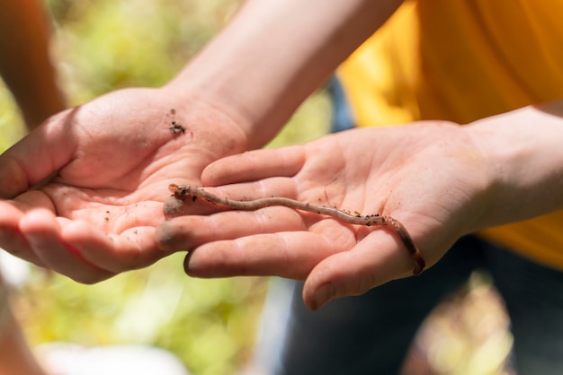 Kinder erkunden gemeinsam die Natur