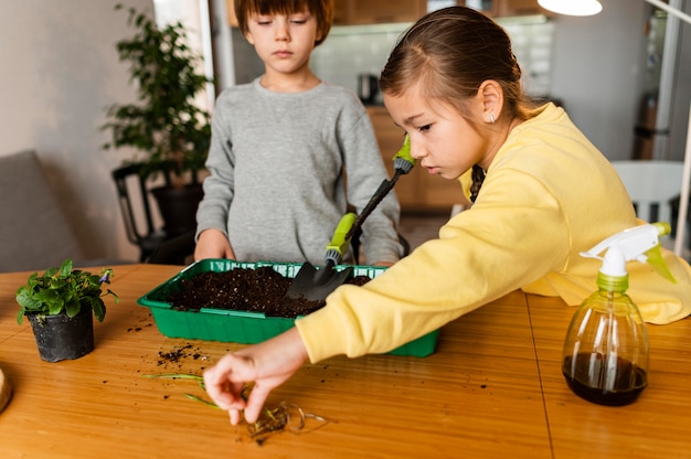 Kostenloses Foto kinder lernen, wie man zu hause samen pflanzt