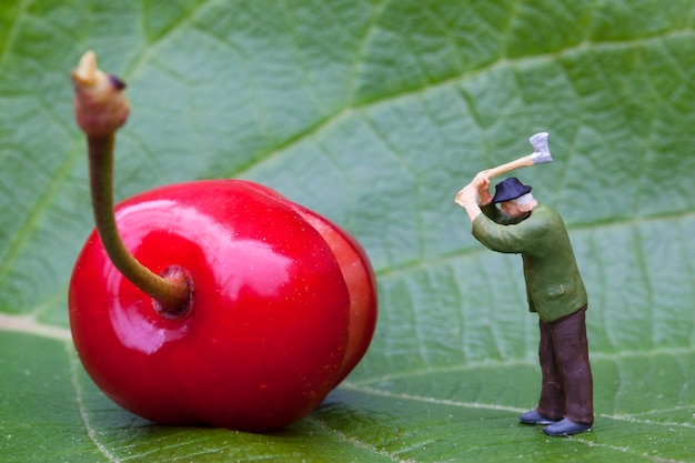 Kirsche und Holzfällerfigur auf einem Blatt