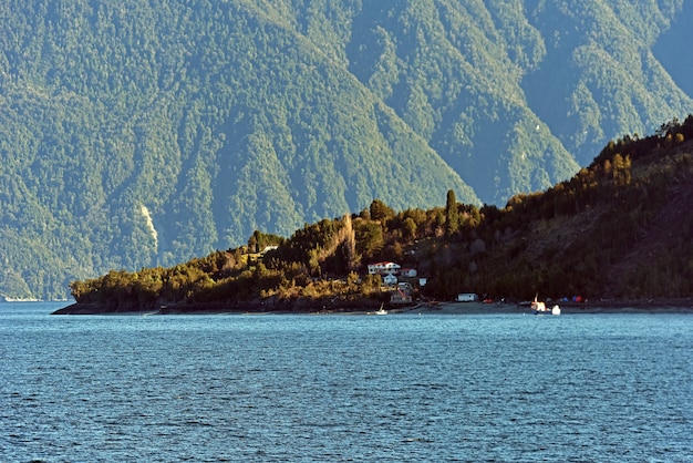 Kostenloses Foto klarer blauer see, umgeben von dichten grünen wäldern