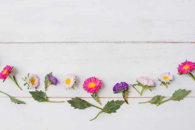 Kleine Blätter und Blumen auf hölzerner Tischplatte
