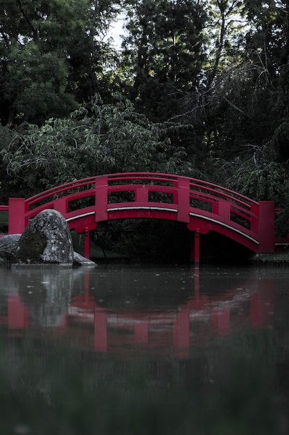 Kostenloses Foto kleine rote brücke, die auf dem wasser in einem wald reflektiert, der im grün unter sonnenlicht bedeckt ist