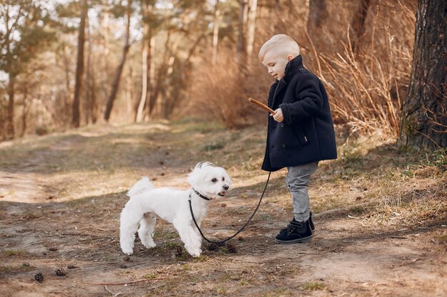 Kleiner Junge in einem Park, der mit einem Hund spielt