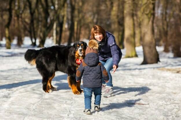 Kleiner Junge kommt zu einer Frau, die mit dem Berner Sennenhund spielt