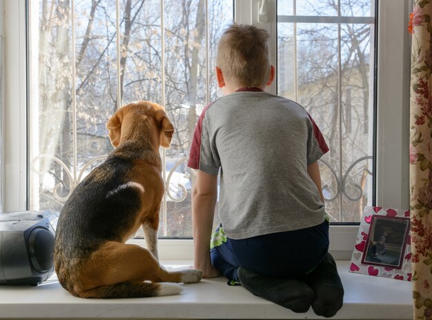 Kleiner junge mit seinem hund, der zusammen am fenster wartet