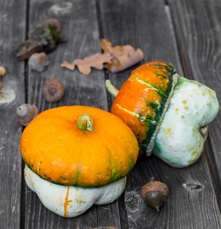 Kostenlose Foto kleiner kürbis auf holzwand, herbst