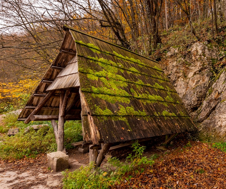 Kostenlose Foto kleiner unterschlupf im wald des nationalparks plitvicer seen in kroatien