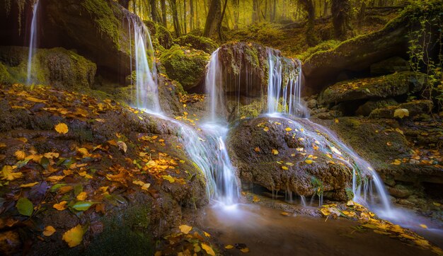 Kleiner Wasserfall auf den Felsen mit abgefallenen Blättern im Herbst