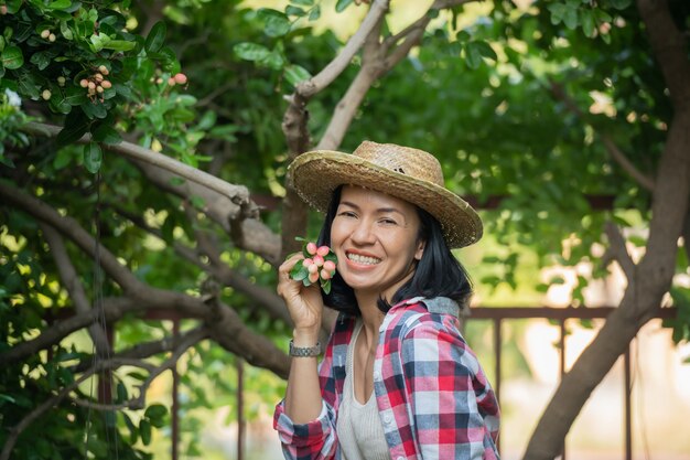 Kleines Familienunternehmen. Glücklich lächelnde fröhliche Frau, die Overalls und einen Strohhut des Bauernkleides trägt und die zum Verkauf stehende Mango-Gähnenkalkgröße auswählt. Mit hohem Eisen- und Vitamin C-Gehalt.