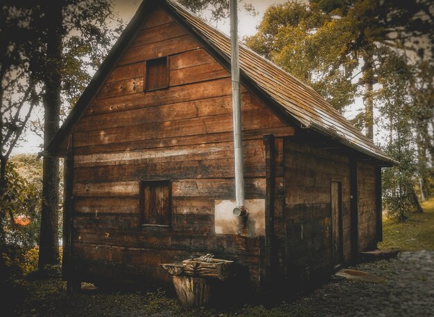 Kleines Holzhaus im Wald während des Tages