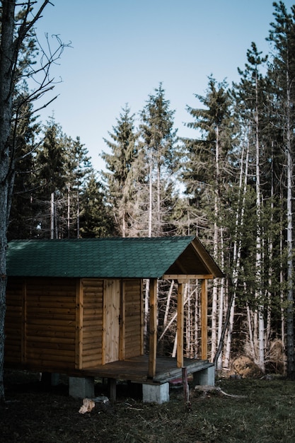 kleines Holzhaus umgeben von hohen Bäumen in einem Wald