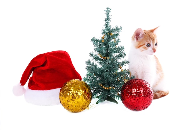 Kleines kätzchen mit weihnachtsschmuck isoliert auf weiß Premium Fotos
