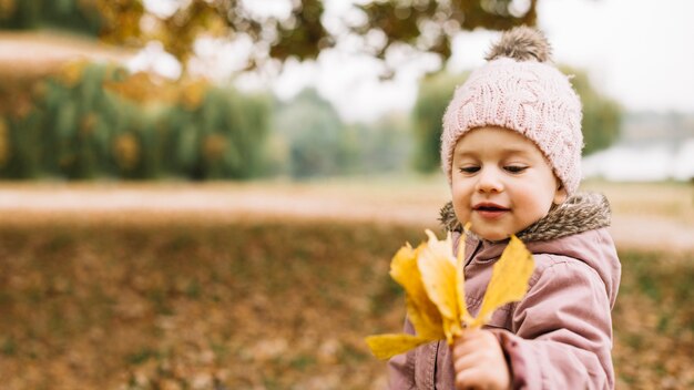 Kleines Mädchen, das Blätter im Herbstwald betrachtet