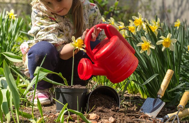 kleines Mädchen, das Blumen im Garten pflanzt