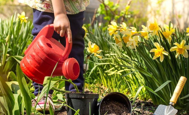 kleines Mädchen, das Blumen im Garten pflanzt